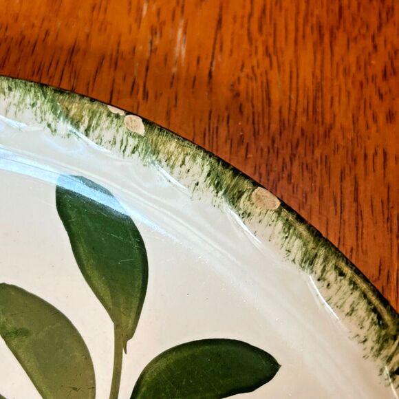 BLUE RIDGE Southern Potteries 9 1/2” Plate GREENBRIER PATTERN 1940s USA - Picture 3 of 10